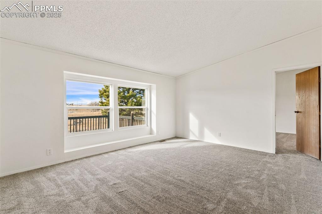 Living room with new carpet