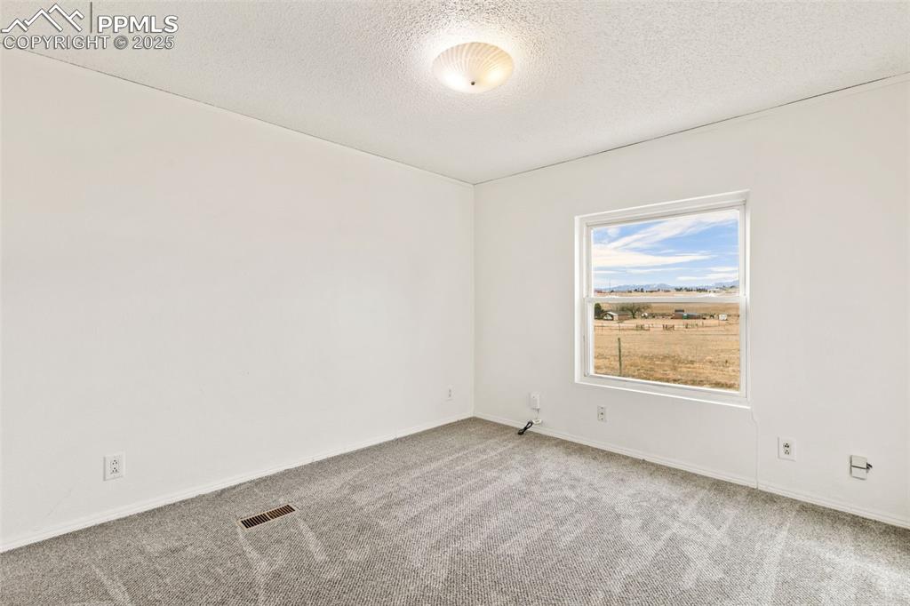 secondary bedroom on main level with new carpet