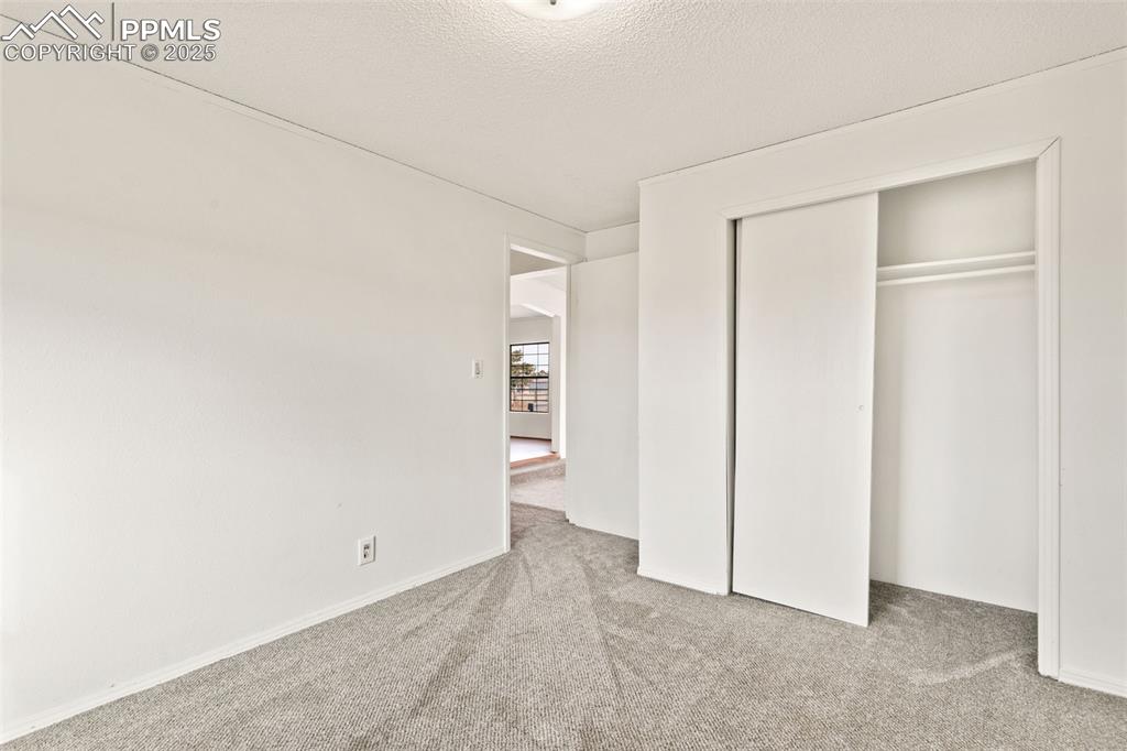 secondary bedroom on main level with new carpet