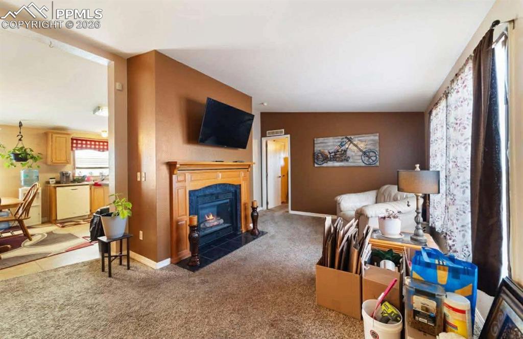 2311 Canyon River Court photo 3