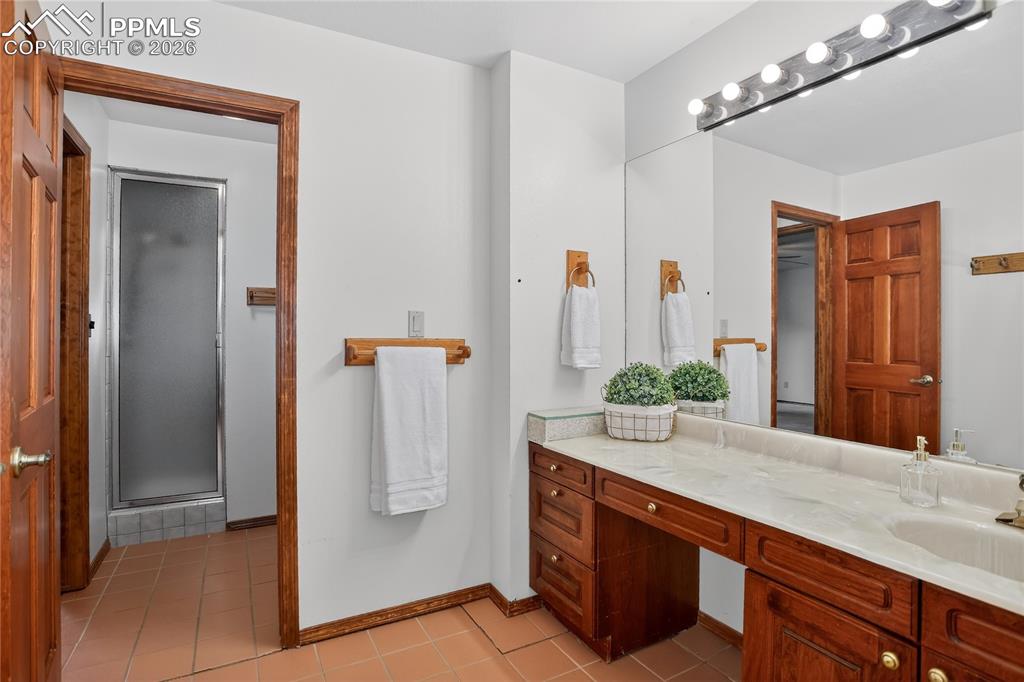 Guest bath - lower level