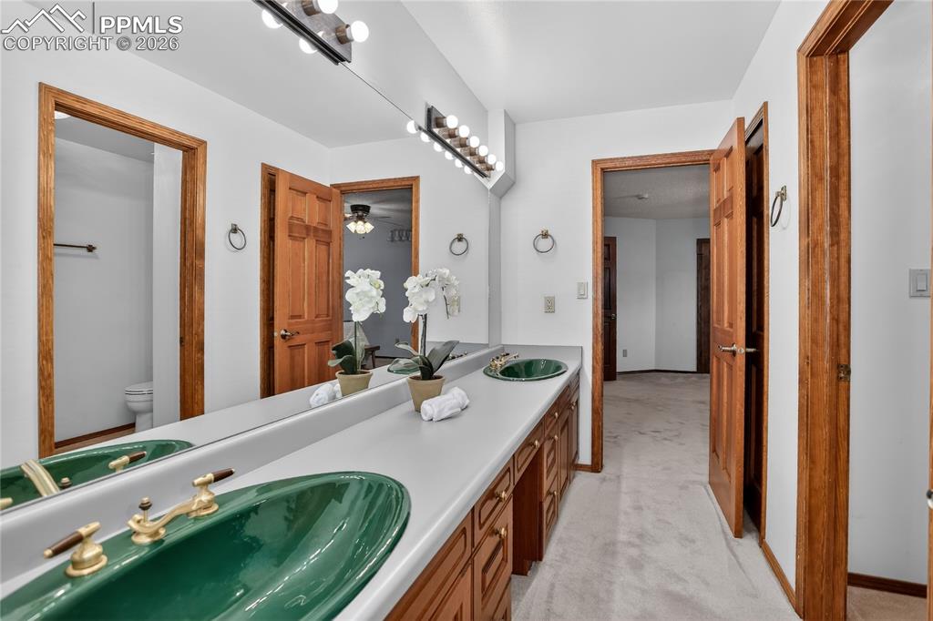 Guest bath - lower level