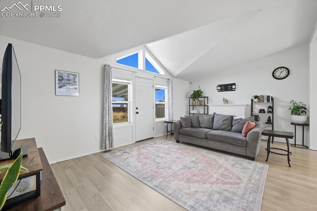 Living room featuring light wood finished floors and high vaulted ceiling