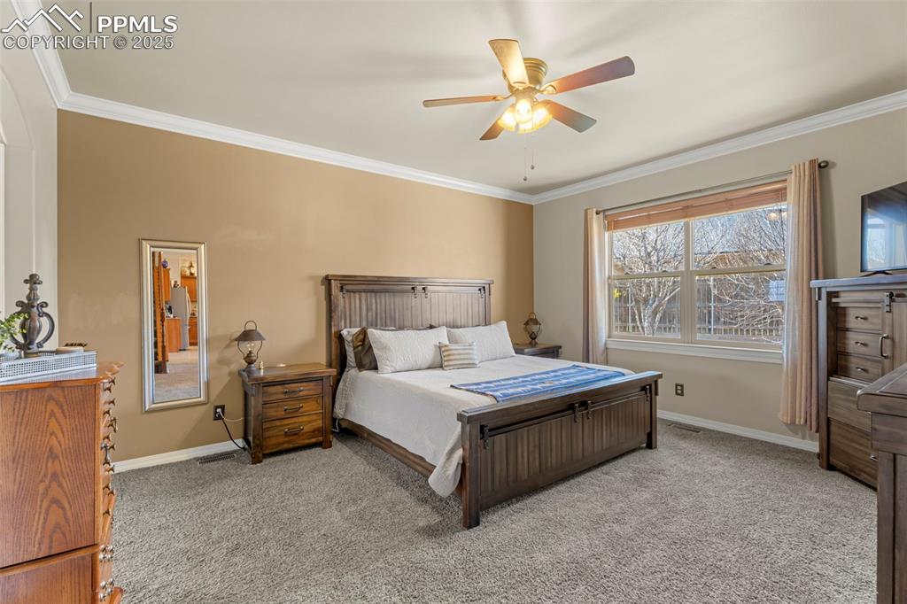 Bedroom featuring crown molding, carpet floors, and a ceiling fan