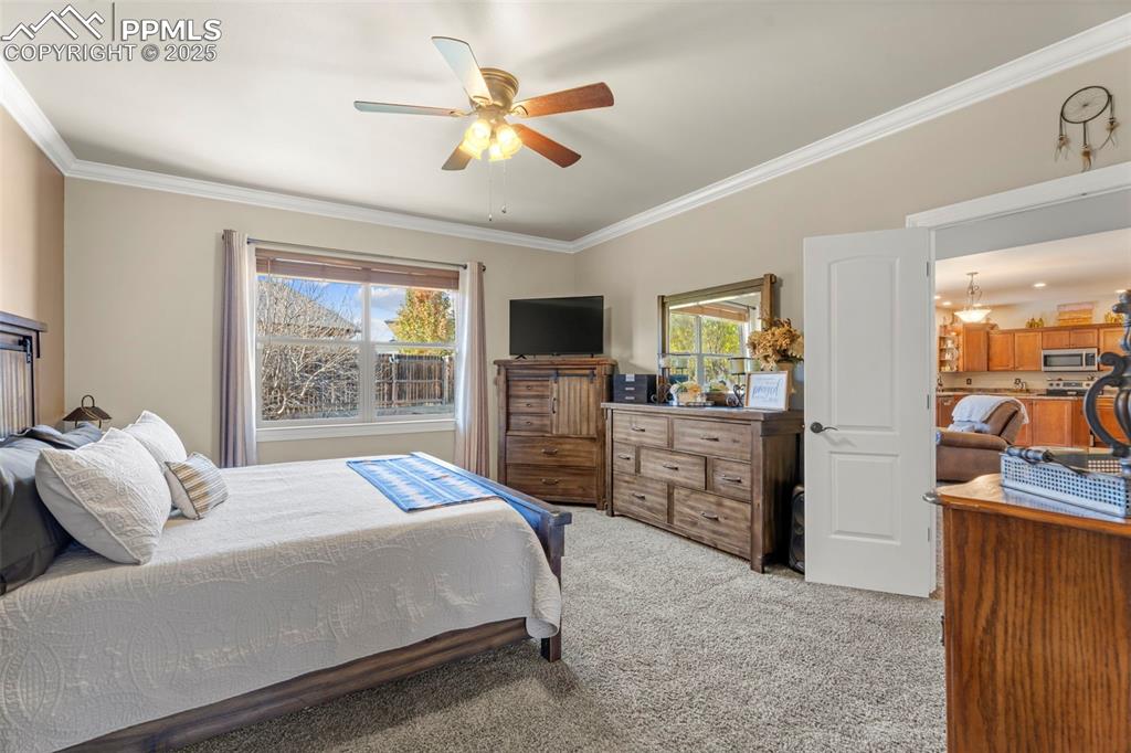 Carpeted bedroom with crown molding and a ceiling fan