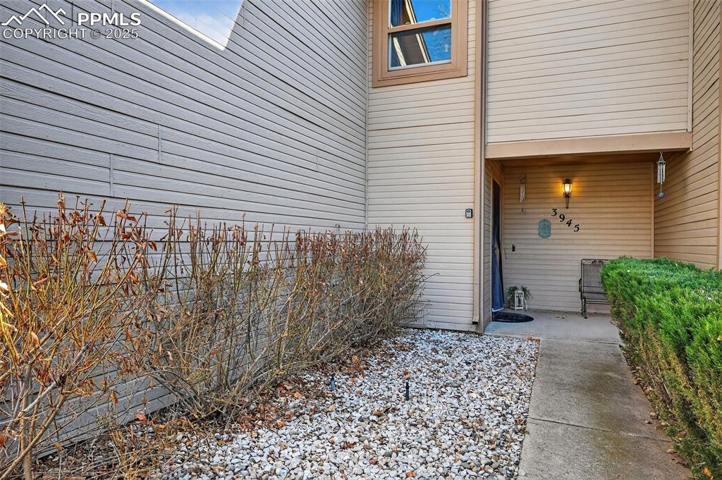 Beautiful foilage in the spring and summer.