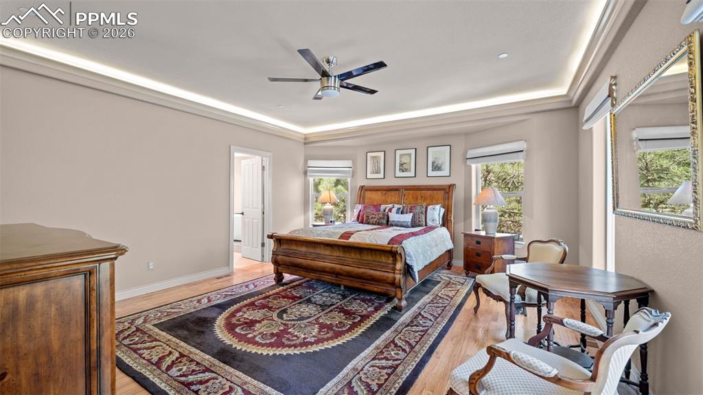 590 Paisley Drive photo 3