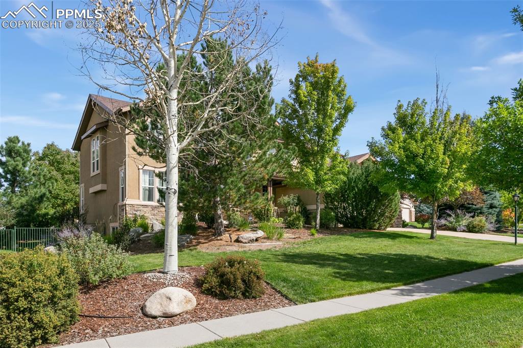 9331 Stoneglen Drive photo 3