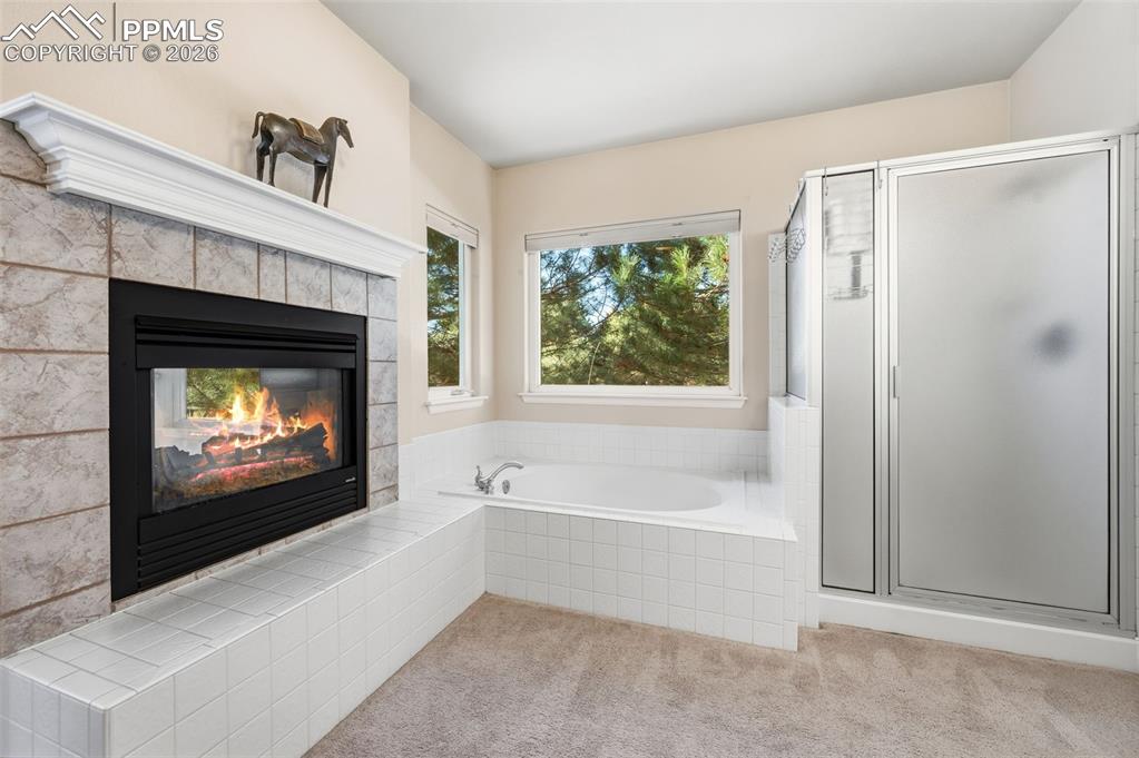 3805 Alta Mesa Court