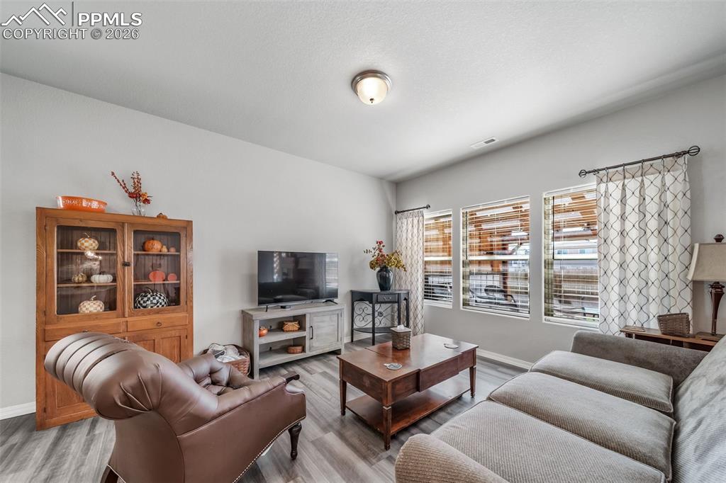 All the window treatments and blinds are included. 