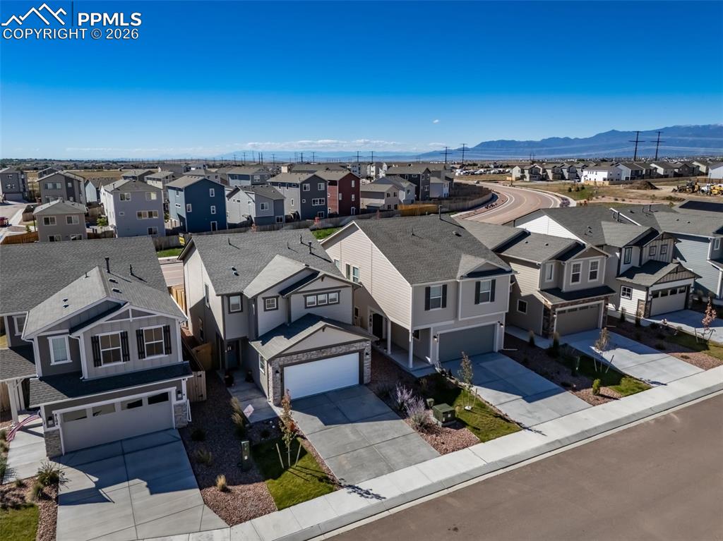 Great sized yard with room for all your pets. 