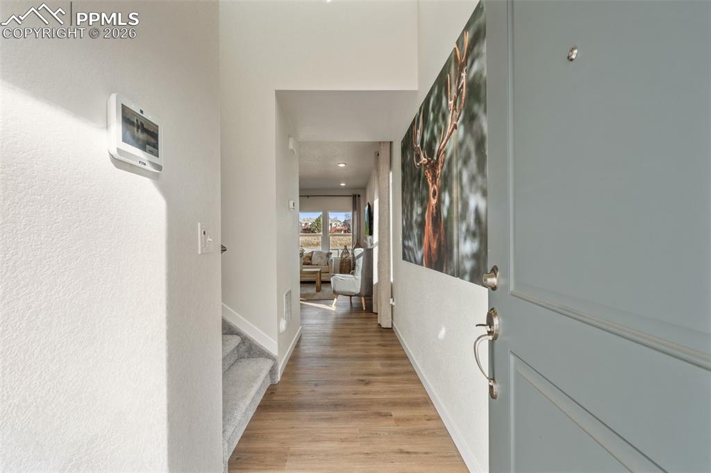 8562 Blue Feather Loop photo 3