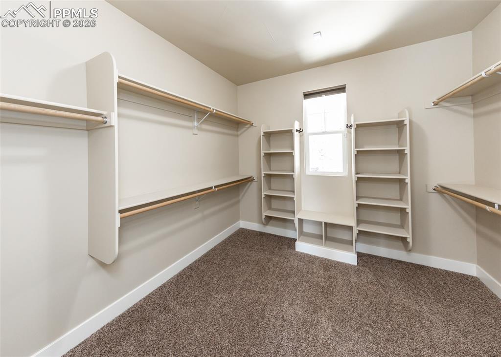 Primary Bedroom walk in closet