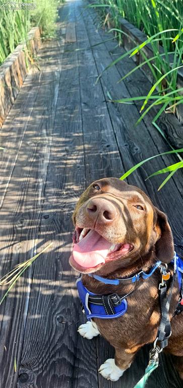 Miles of walking paths