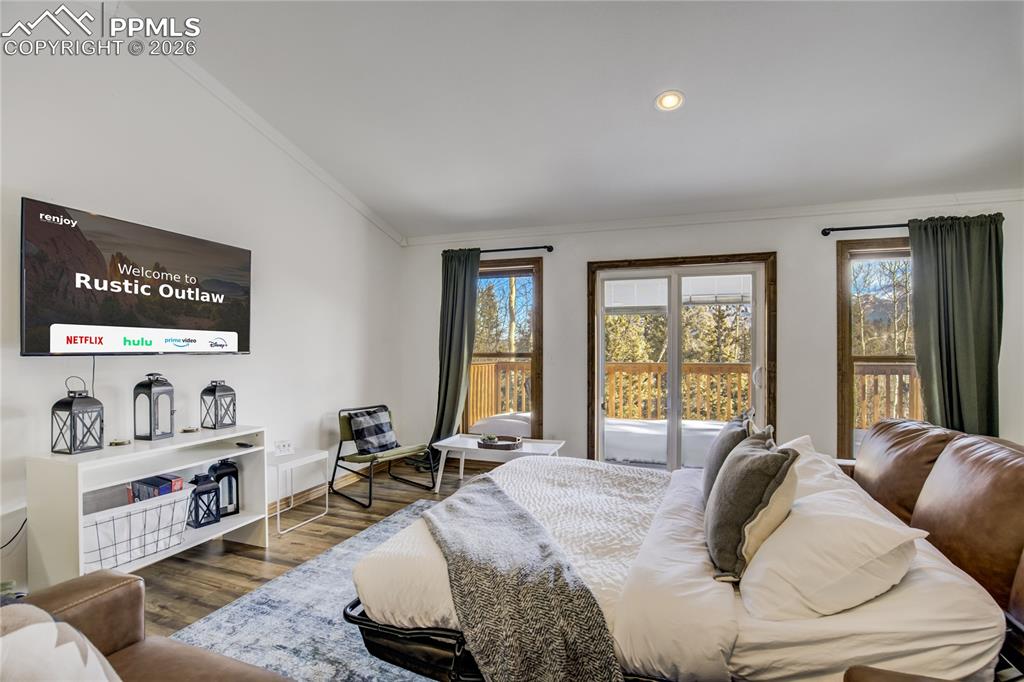 Living room showing the pull out sofa