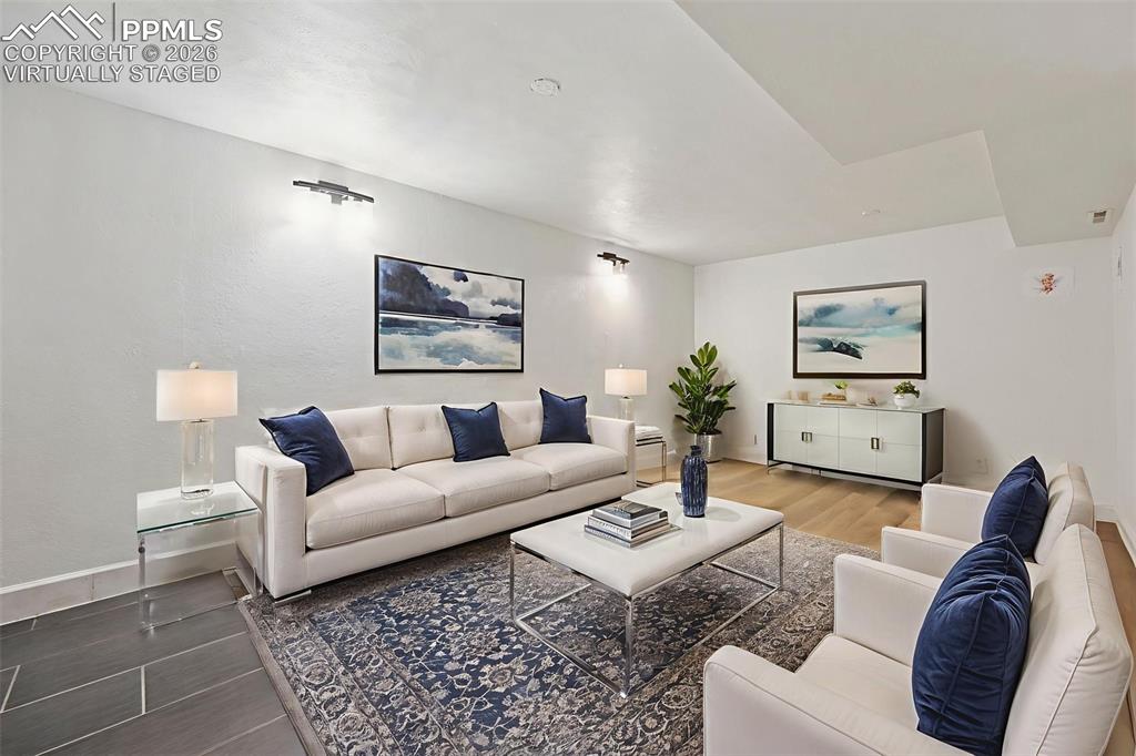 basement/bonus family room (virtually staged)