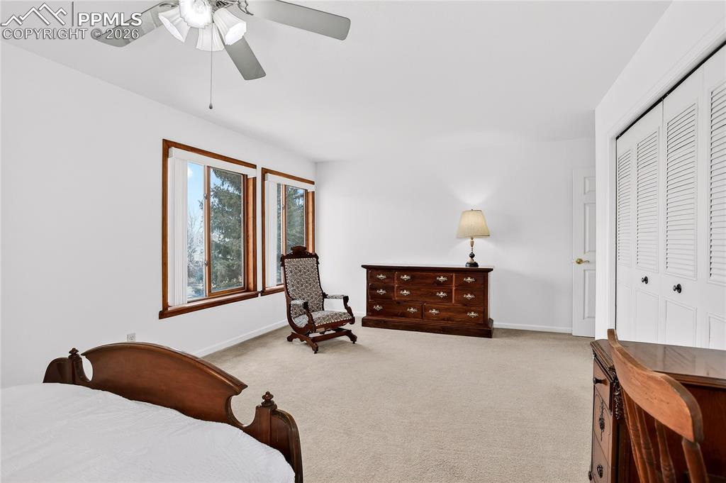 Large primary bedroom with fresh interior paint!