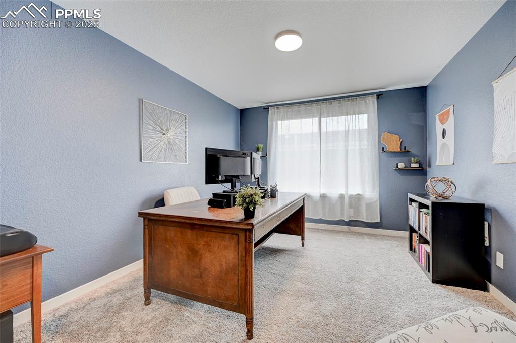 Carpeted office featuring baseboards and a textured wall