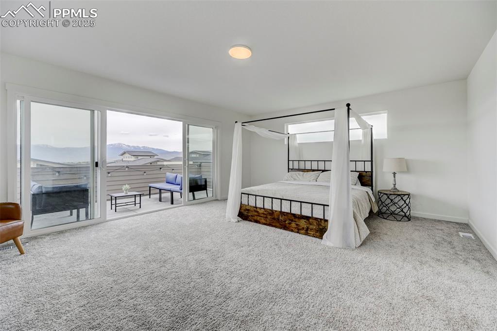 Carpeted bedroom featuring access to exterior, multiple windows, and baseboards