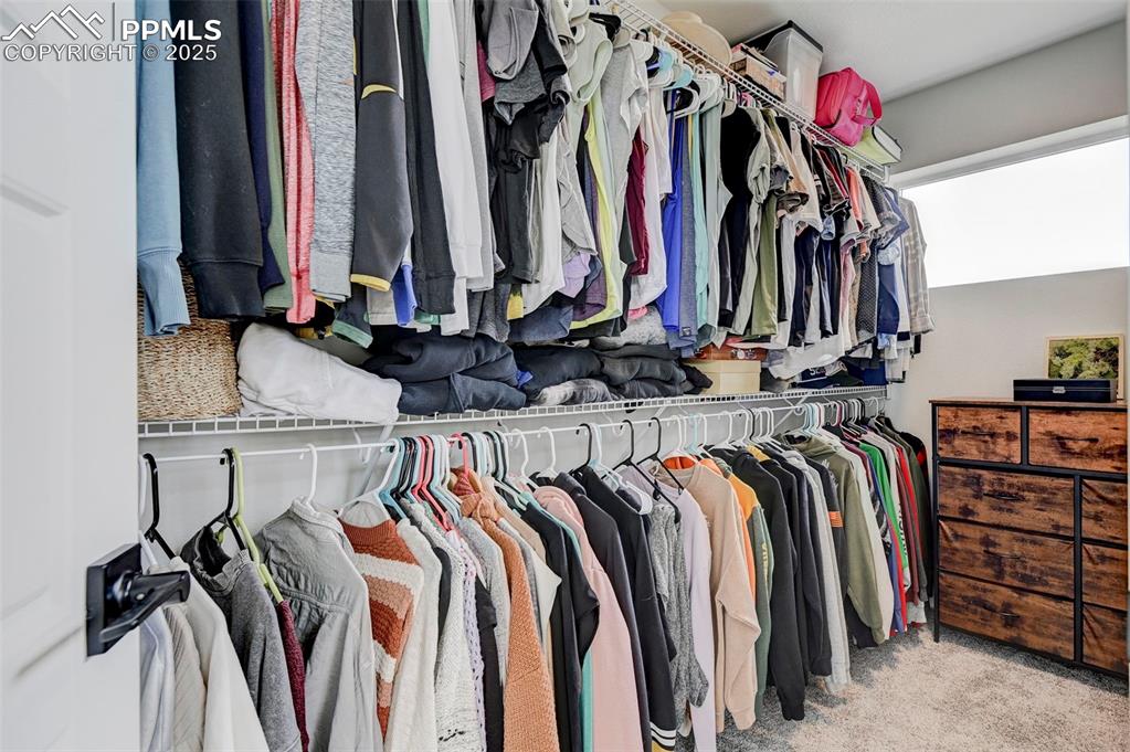 Walk in closet with carpet flooring