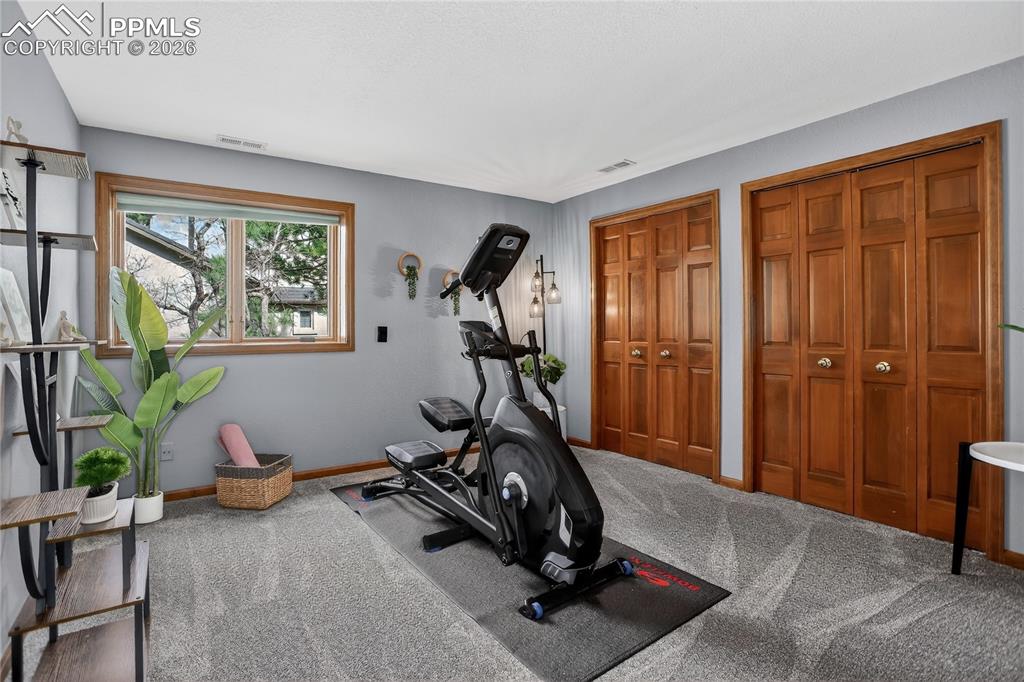 Bedroom 3 - lower level