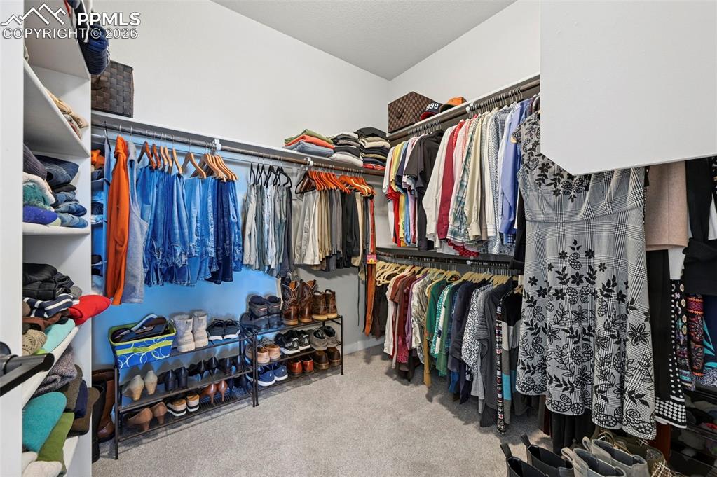 Primary Walk in closet with light carpet