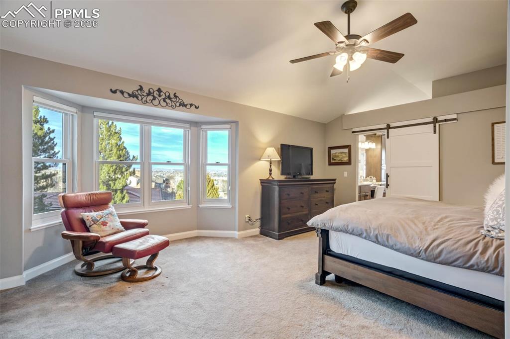 Third view of the Primary Bedroom showing the many windows, the barn door to the ensuite bathroom, thevaulted ceiling,  carpet and the ceiling fan w/lights, 