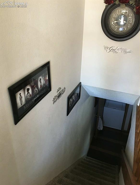 Staircase featuring carpet