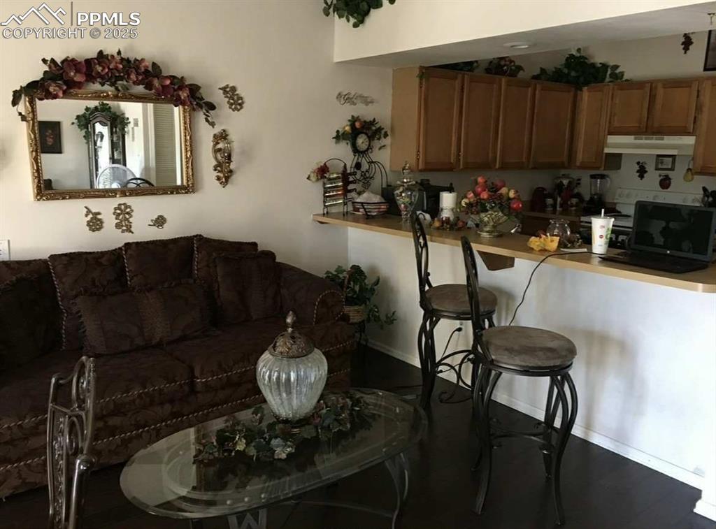 Living room with baseboards and dark wood-type flooring