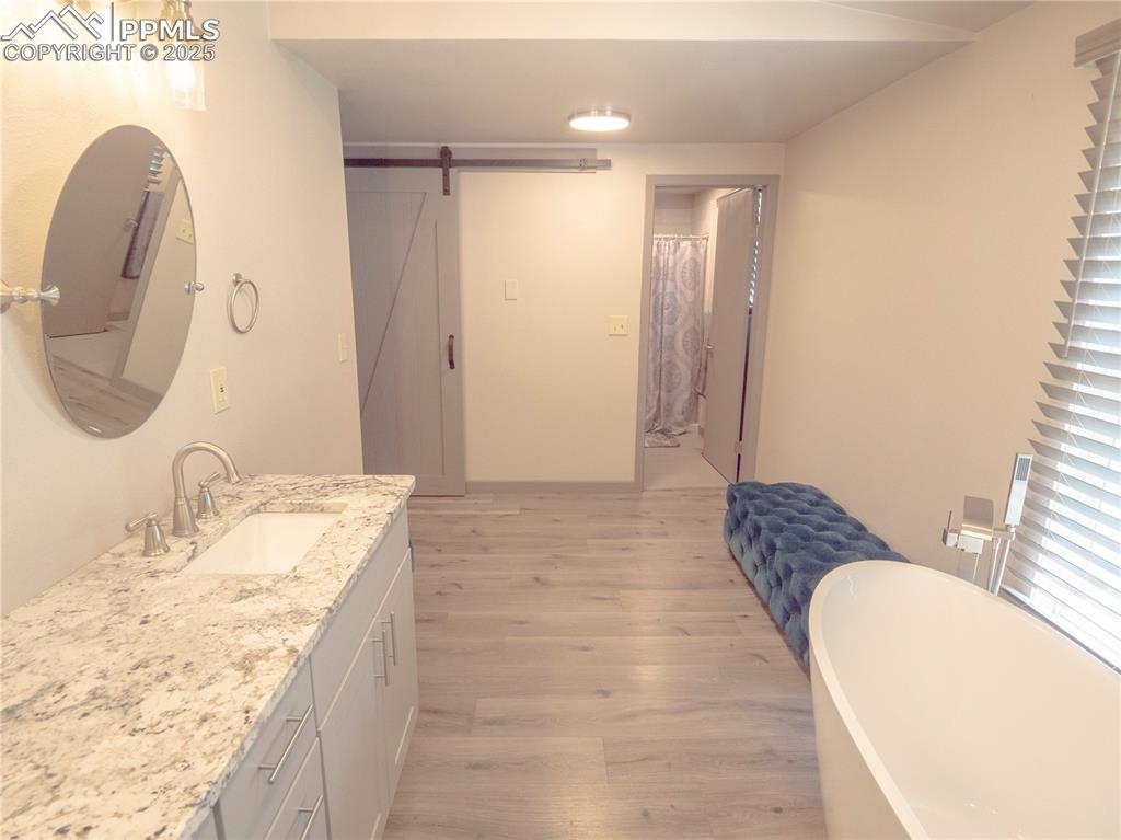 Full bathroom with wood finished floors, vanity, and a freestanding bath