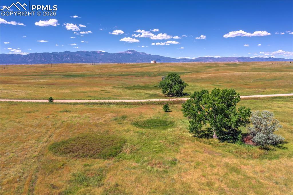 and true country living