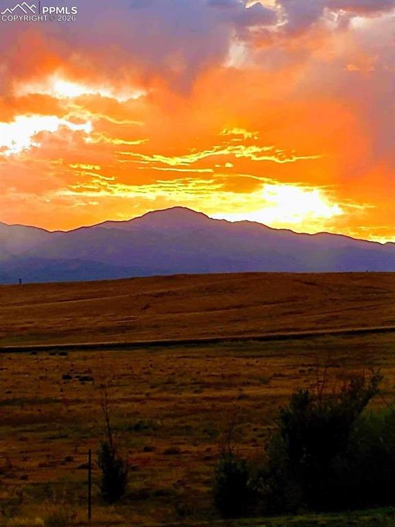 showcase the tranquility