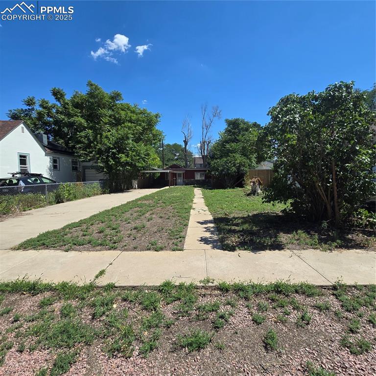 Large front yard with big lilac