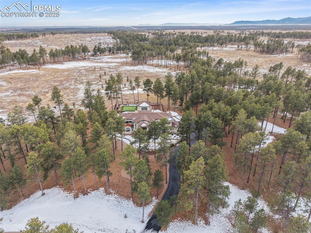 10957 Silver Mountain Point