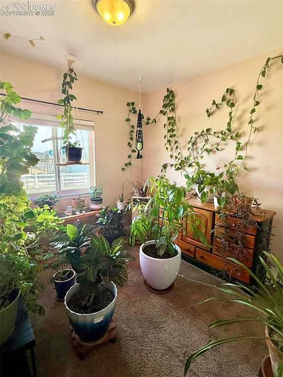 1036 S Los Charros Drive