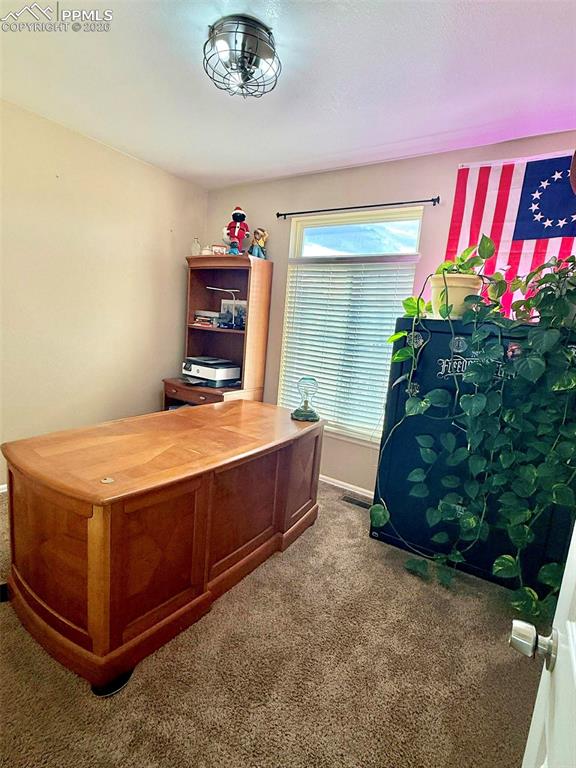 1036 S Los Charros Drive