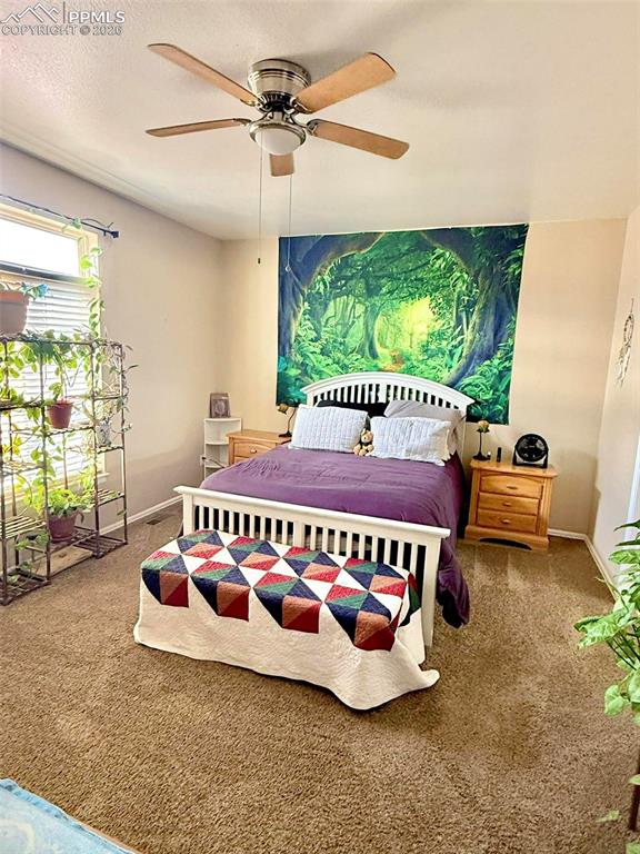 1036 S Los Charros Drive