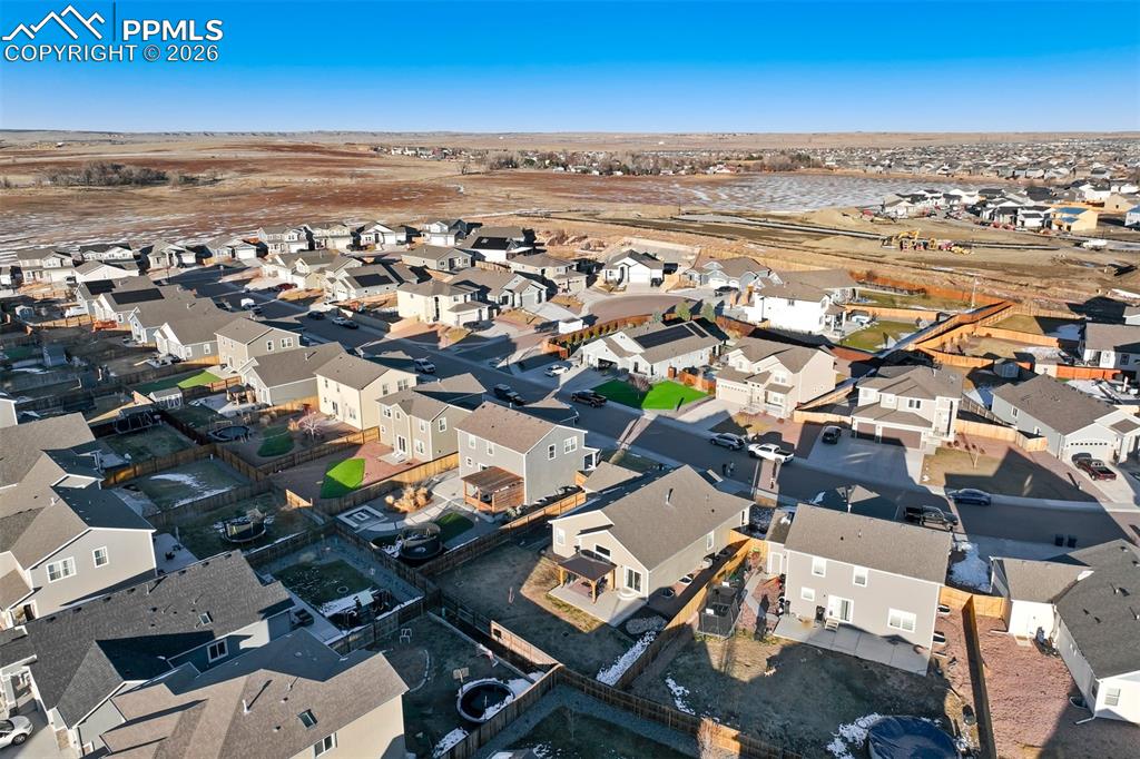 Space for dogs, kids, hammocks, and dreams