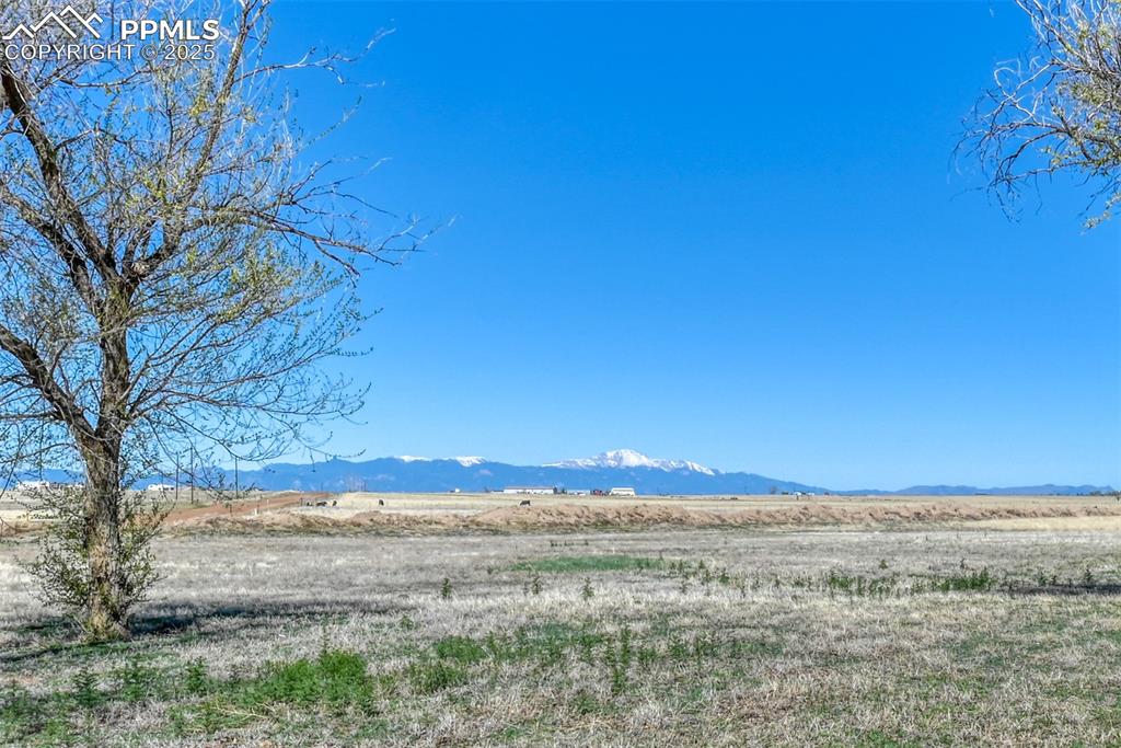 Picture Perfect Pikes Peak View