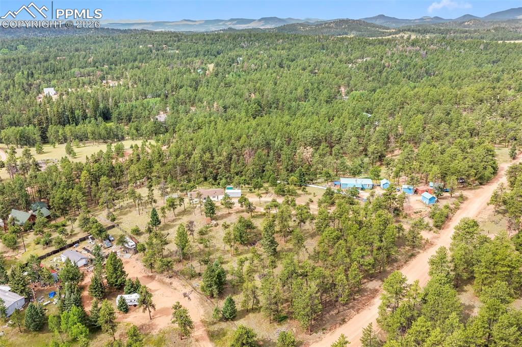 Bird's eye view of a forest and a mountainous background
