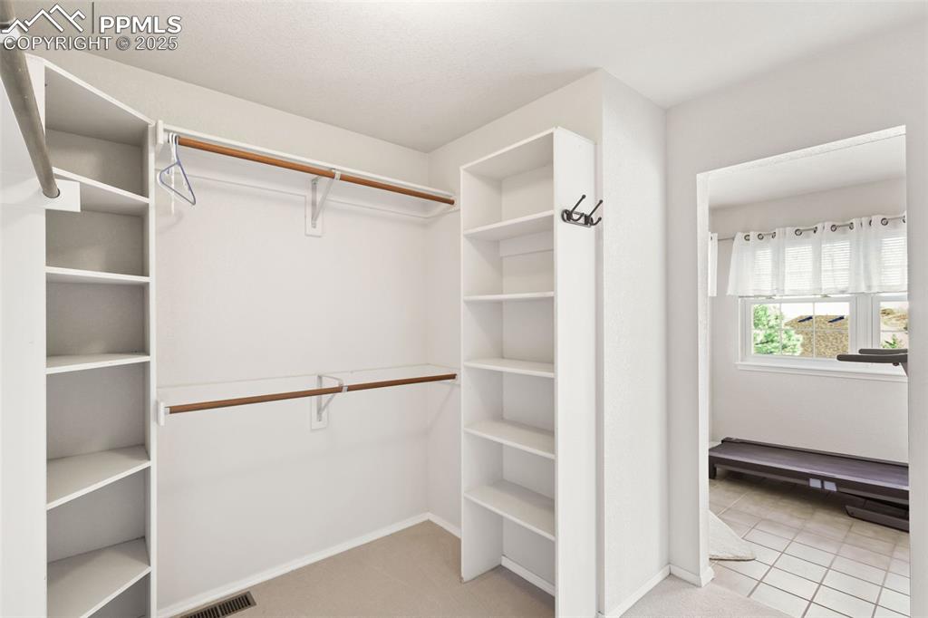 Spacious closet featuring light colored carpet