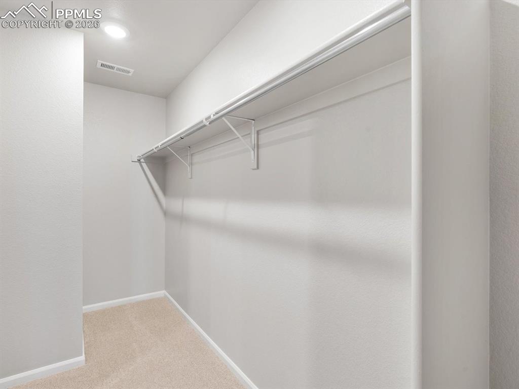 Spacious closet with light carpet
