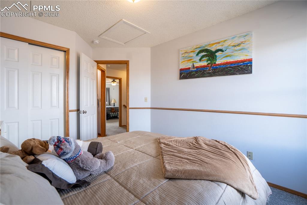 Bedroom with carpet floors, a closet, and a textured ceiling