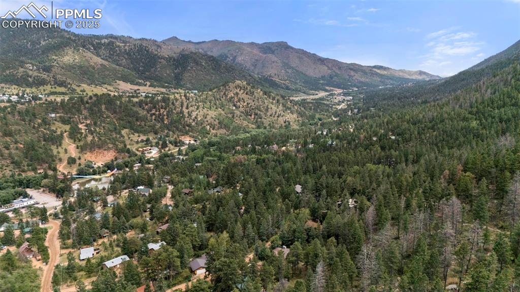 Aerial View of the Neighborhood