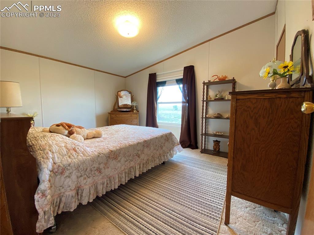 Spacious second bedroom with plenty of room for family or guests