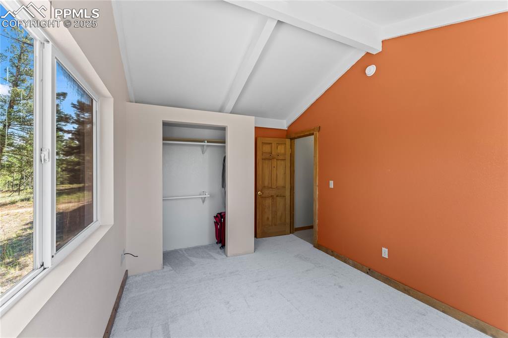 Unfurnished bedroom featuring carpet flooring and a closet