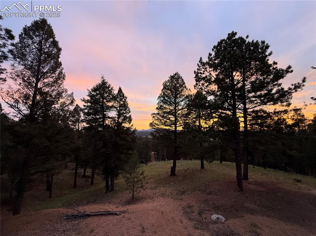 Mountain view from back deck/yard