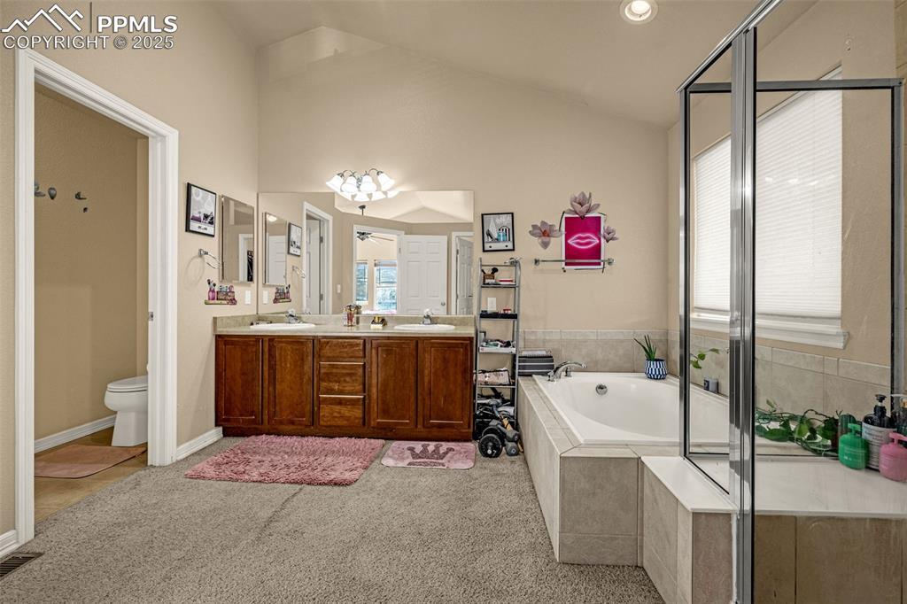 Full bath with double vanity, a bath, light carpet, a shower stall, and high vaulted ceiling