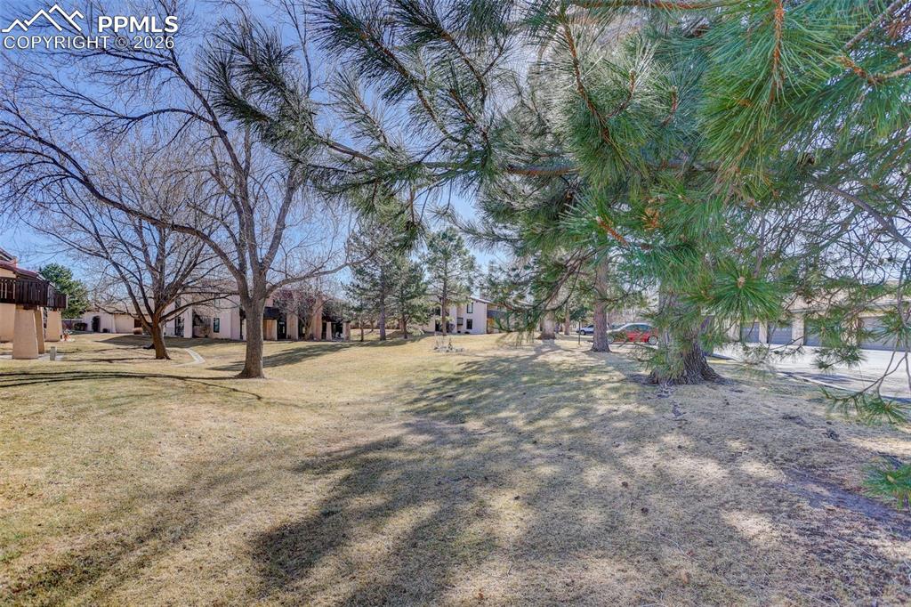 Serene Park-Like Community Setting