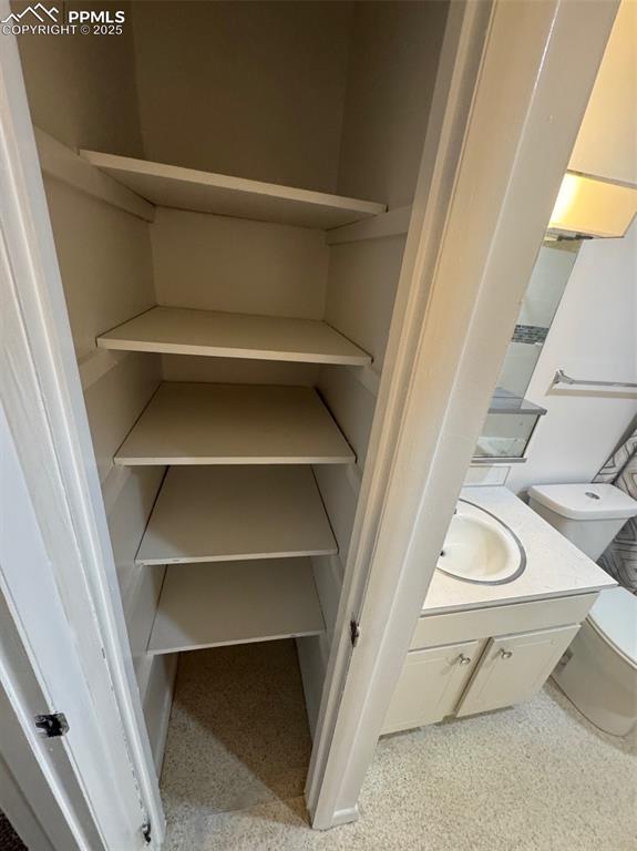 Closet with a sink